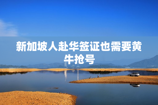 新加坡人赴华签证也需要黄牛抢号