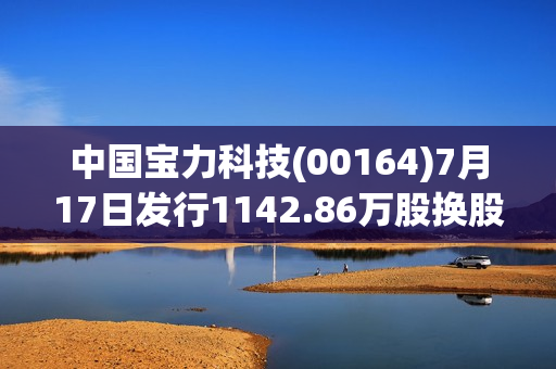 中国宝力科技(00164)7月17日发行1142.86万股换股股份