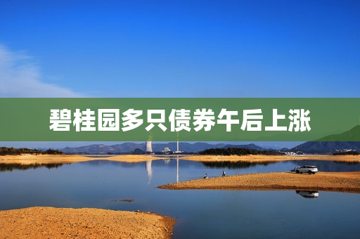 碧桂园多只债券午后上涨