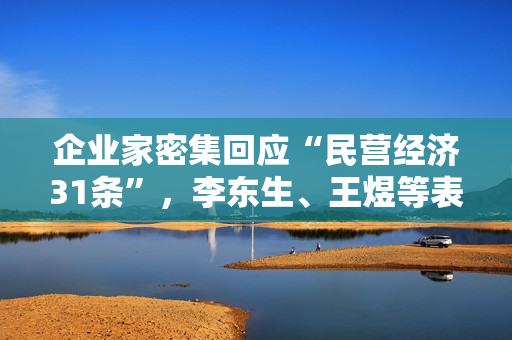 企业家密集回应“民营经济31条”，李东生、王煜等表态 第1张