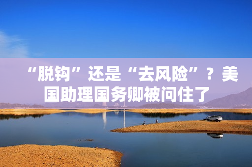 “脱钩”还是“去风险”？美国助理国务卿被问住了 第1张