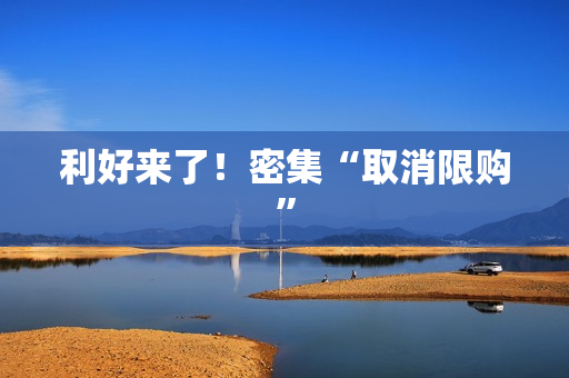 利好来了！密集“取消限购” 第1张