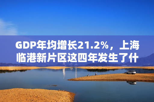 GDP年均增长21.2%，上海临港新片区这四年发生了什么？ 第1张