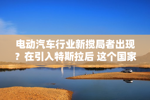 电动汽车行业新搅局者出现？在引入特斯拉后 这个国家欲“栽桐引凤” 第1张