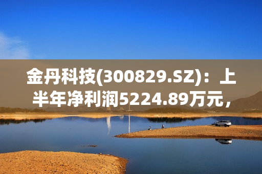 金丹科技(300829.SZ)：上半年净利润5224.89万元，同比下降40.72% 第1张