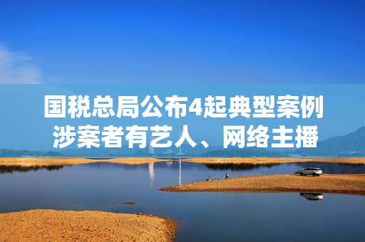 国税总局公布4起典型案例 涉案者有艺人、网络主播等