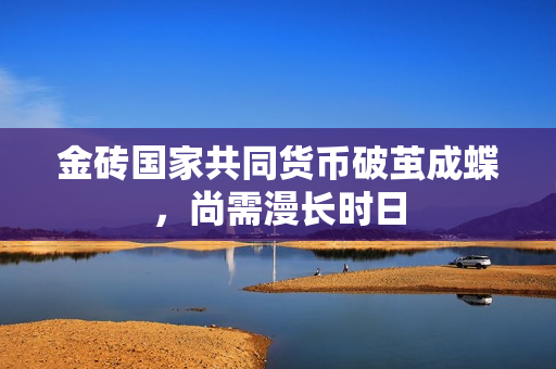 金砖国家共同货币破茧成蝶，尚需漫长时日 第1张