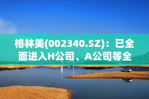 格林美(002340.SZ)：已全面进入H公司、A公司等全球知名数码类电子产品供应链 第1张