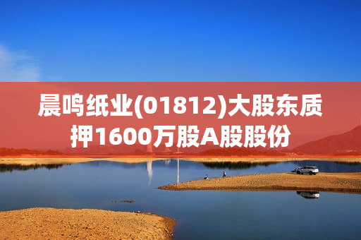晨鸣纸业(01812)大股东质押1600万股A股股份 第1张
