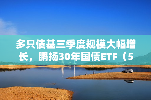多只债基三季度规模大幅增长，鹏扬30年国债ETF（511090）涨0.20% 第1张
