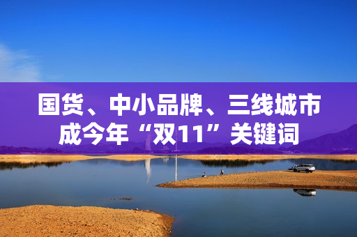 国货、中小品牌、三线城市成今年“双11”关键词 第1张