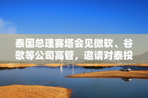 泰国总理赛塔会见微软、谷歌等公司高管，邀请对泰投资 第1张