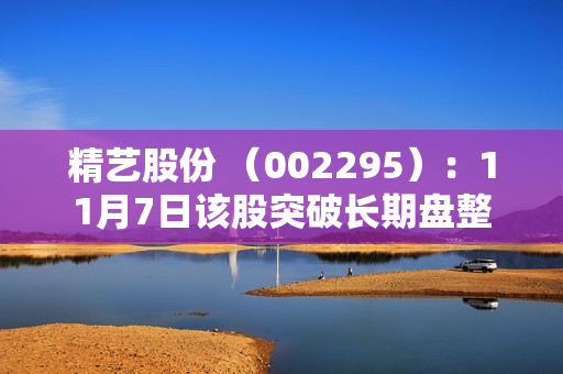精艺股份 （002295）：11月7日该股突破长期盘整 第1张