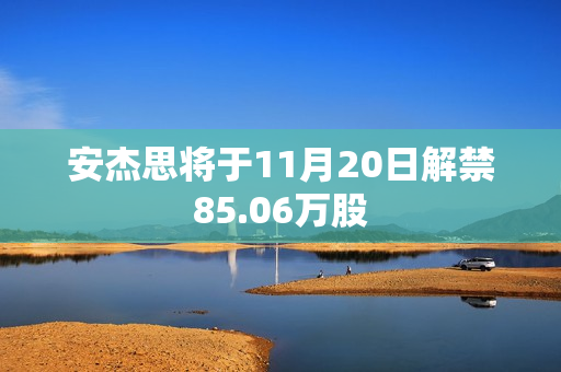 安杰思将于11月20日解禁85.06万股 第1张