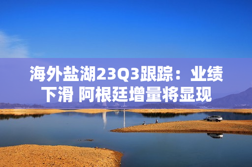 海外盐湖23Q3跟踪：业绩下滑 阿根廷增量将显现 第1张