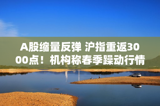 A股缩量反弹 沪指重返3000点！机构称春季躁动行情值得期待 第1张