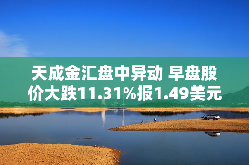 天成金汇盘中异动 早盘股价大跌11.31%报1.49美元 第1张