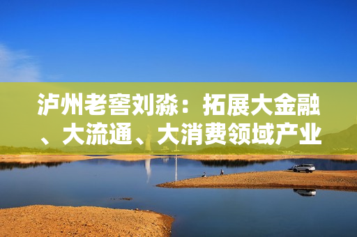 泸州老窖刘淼：拓展大金融、大流通、大消费领域产业赛道 第1张