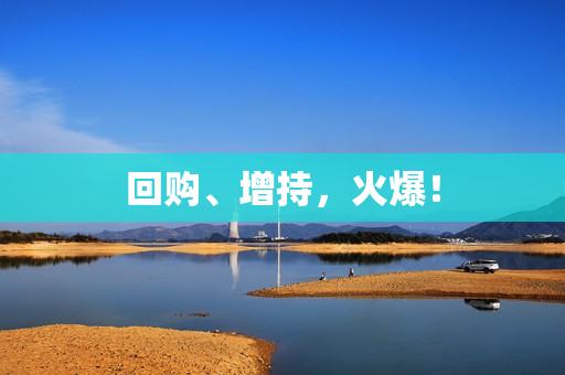回购、增持，火爆！ 第1张