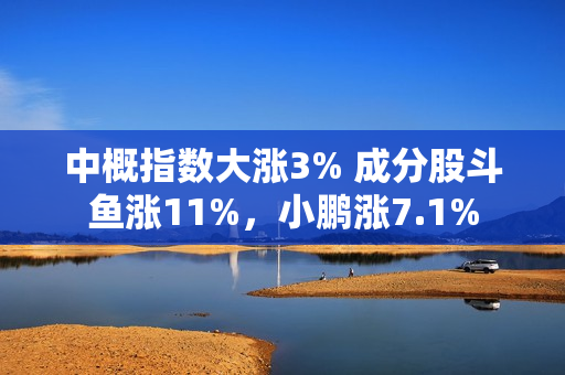 中概指数大涨3% 成分股斗鱼涨11%，小鹏涨7.1%