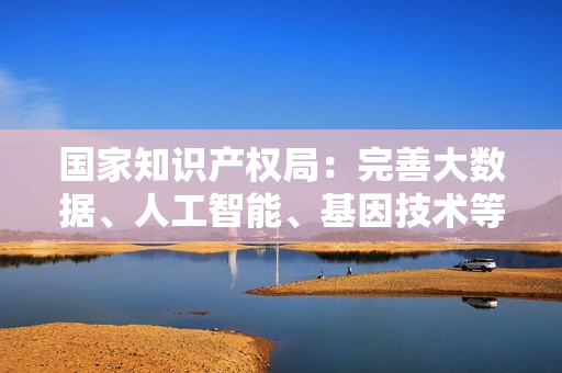 国家知识产权局：完善大数据、人工智能、基因技术等新领域新业态专利审查标准 第1张