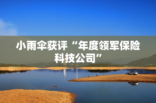 小雨伞获评“年度领军保险科技公司” 第1张