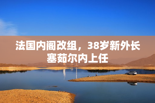 法国内阁改组，38岁新外长塞茹尔内上任 第1张