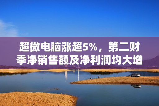 超微电脑涨超5%，第二财季净销售额及净利润均大增 第1张