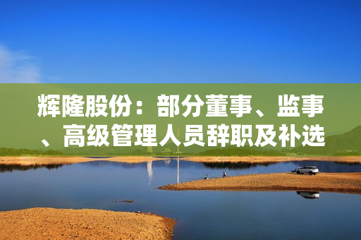 辉隆股份：部分董事、监事、高级管理人员辞职及补选、聘任相关人员 第1张