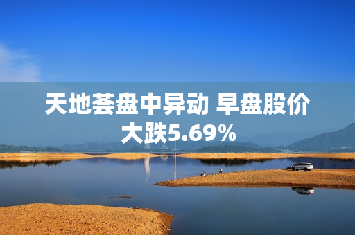 天地荟盘中异动 早盘股价大跌5.69% 第1张