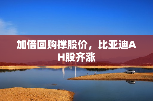 加倍回购撑股价，比亚迪AH股齐涨 第1张