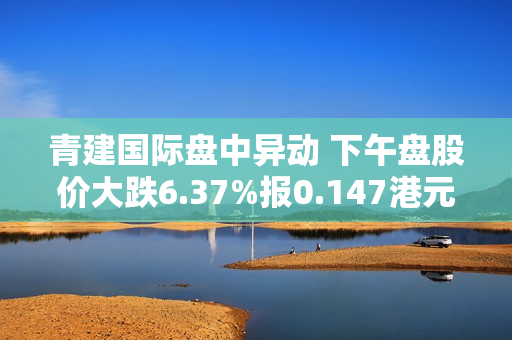 青建国际盘中异动 下午盘股价大跌6.37%报0.147港元 第1张