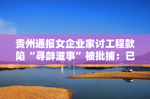 贵州通报女企业家讨工程款陷“寻衅滋事”被批捕：已成立调查组 对该案进行全面审查 第1张