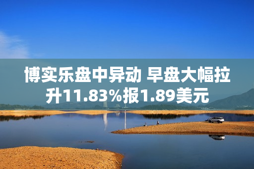 博实乐盘中异动 早盘大幅拉升11.83%报1.89美元 第1张