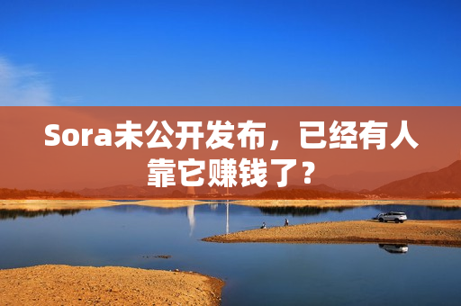 Sora未公开发布，已经有人靠它赚钱了？ 第1张