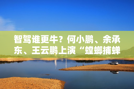 智驾谁更牛？何小鹏、余承东、王云鹏上演“螳螂捕蝉、黄雀在后” 第1张