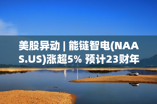 美股异动 | 能链智电(NAAS.US)涨超5% 预计23财年净收入将在5-6亿元人民币之间