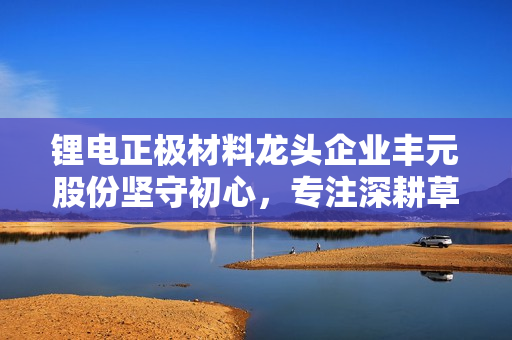 锂电正极材料龙头企业丰元股份坚守初心，专注深耕草酸及锂电池领域，稳健发展不盲目扩张 第1张