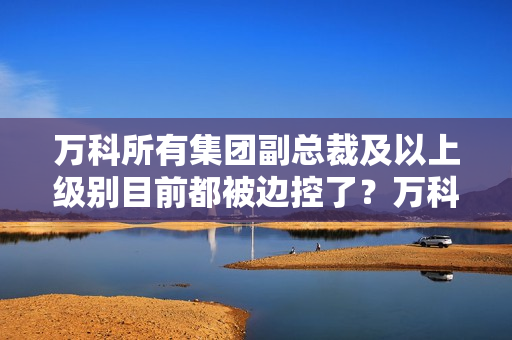 万科所有集团副总裁及以上级别目前都被边控了？万科回应