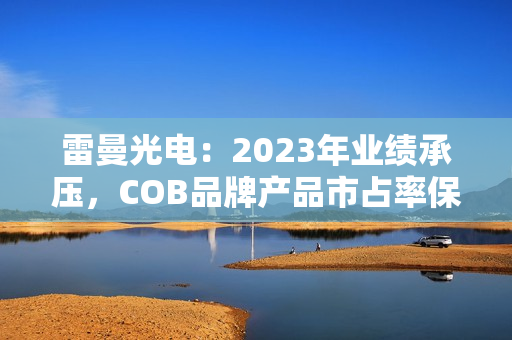 雷曼光电：2023年业绩承压，COB品牌产品市占率保持第一 第1张