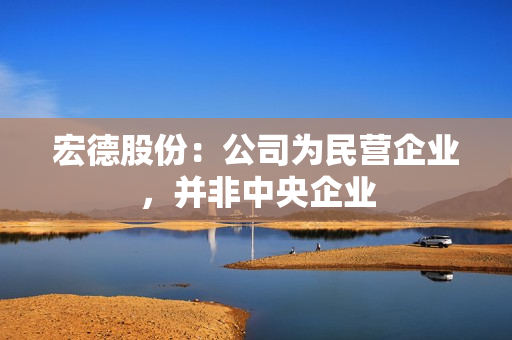 宏德股份：公司为民营企业，并非中央企业