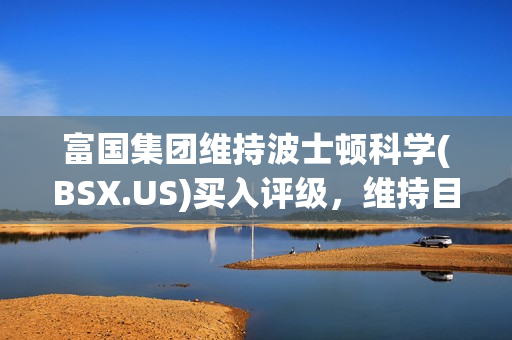 富国集团维持波士顿科学(BSX.US)买入评级，维持目标价82美元