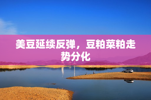 美豆延续反弹，豆粕菜粕走势分化