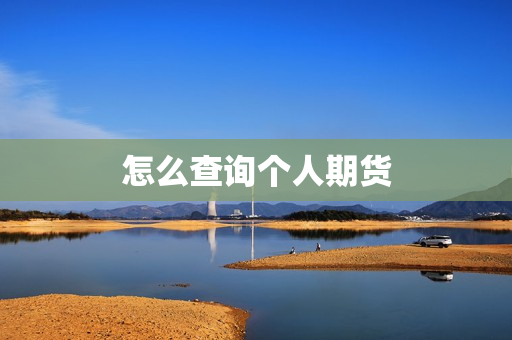 怎么查询个人期货