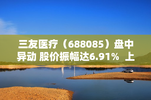 三友医疗（688085）盘中异动 股价振幅达6.91%  上涨6.91%（07-26）
