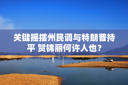 关键摇摆州民调与特朗普持平 贺锦丽何许人也？