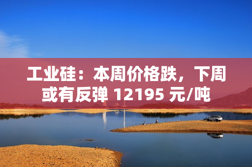 工业硅：本周价格跌，下周或有反弹 12195 元/吨