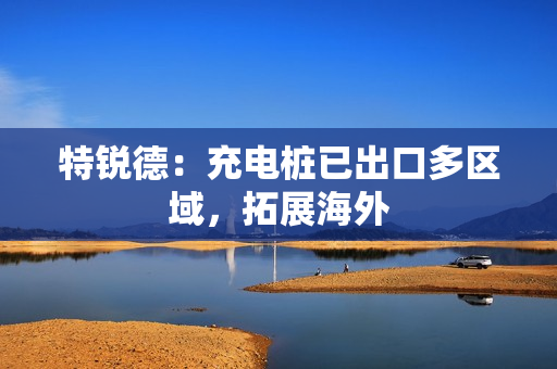 特锐德：充电桩已出口多区域，拓展海外