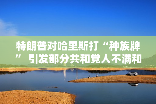 特朗普对哈里斯打“种族牌” 引发部分共和党人不满和担忧