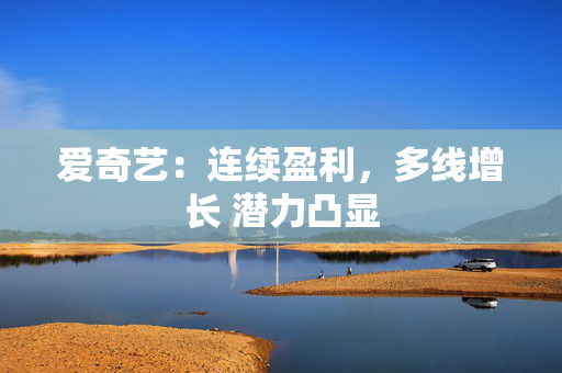 爱奇艺：连续盈利，多线增长 潜力凸显